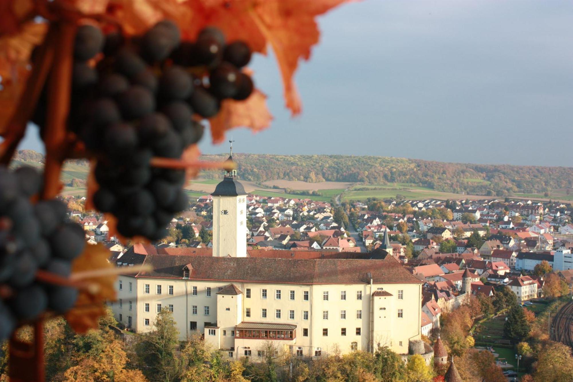 Schell Schokoladen Hotell Gundelsheim  Exteriör bild